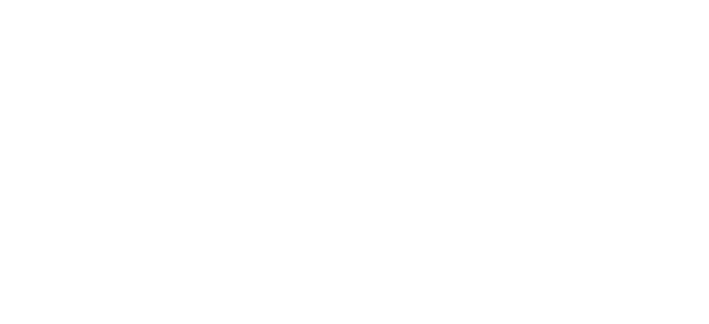 SOMOS-LOGISTICOS-2